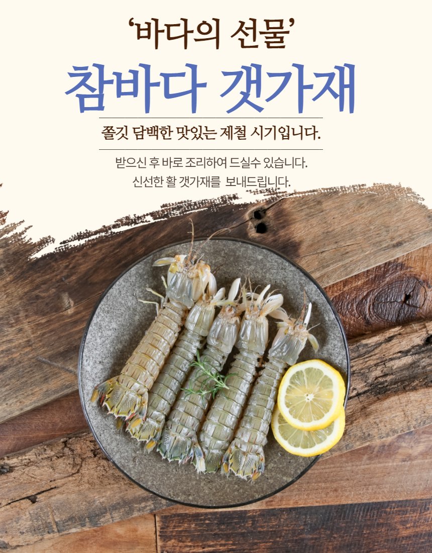 갯가재 정렬 클로즈업 — 형태와 크기 강조