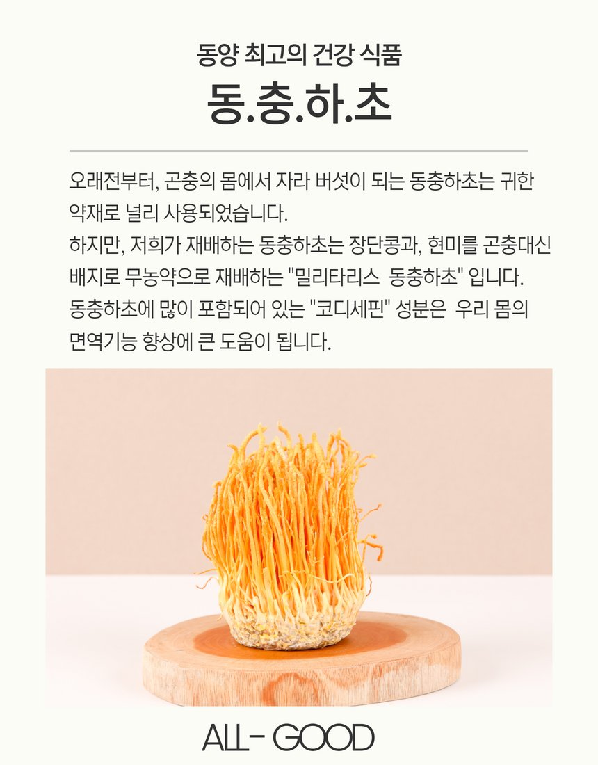 동콩칩 제품 단독 컷 - 흰 쌀과자 표면 질감