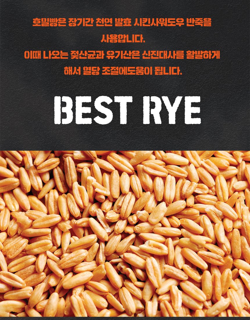 호밀빵 단면 컷 - 촘촘한 기공과 속결