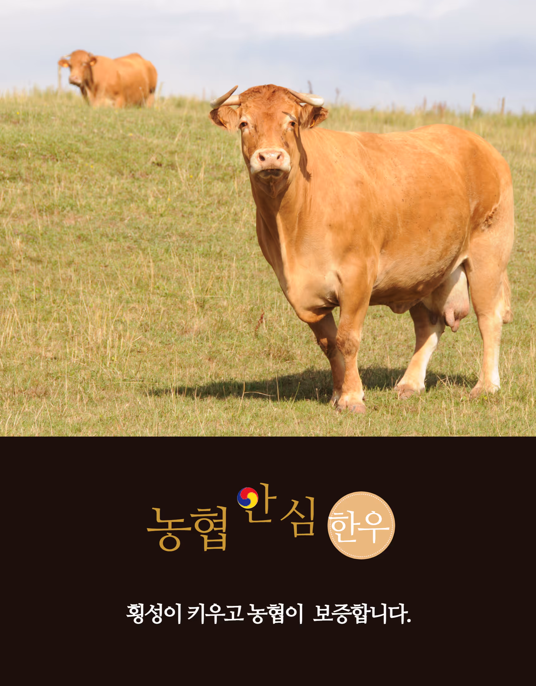 상세페이지 제작 프로세스 5단계 — 의뢰부터 완성까지